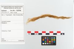Etikett zu Rohhaut (NHMW-PRAE-125781)